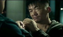 甄子丹爆料王宝强视频,背后真相令人震惊